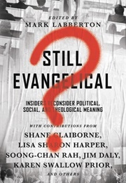 Still Evangelical? Ten Insiders Reconsider Political, Social, and Theological Meaning (Mark Labberton)