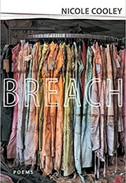 Breach (Nicole Cooley)