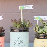 Give Plants or Edible Gifts