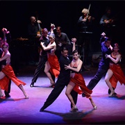 See a Tango Performance in Buenos Aires, Argentina