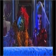 Picking Up the Pieces