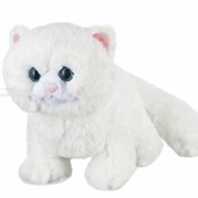 Snow Soft Kitty