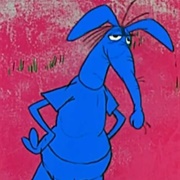 The Aardvark