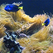 Long Island Aquarium, Riverhead, NY