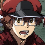 AA2153 Red Blood Cell