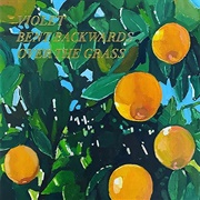 Violet Bent Backwards Over the Grass (Lana Del Rey, 2020)