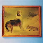 Explosions in the Sky - The Rescue