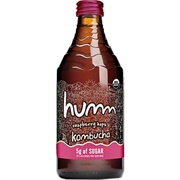 Humm Raspberry Hops Kombucha