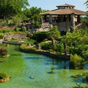 San Antonio Japanese Tea Garden