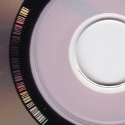 Bechamel - Pernice Brothers