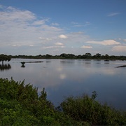 Swimming in the Rio Daule, Ecuador