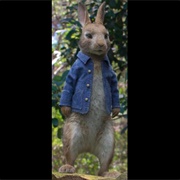 The Peter Rabbit
