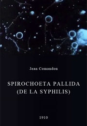 Spirochoeta Pallida (De La Syphilis) (1910)