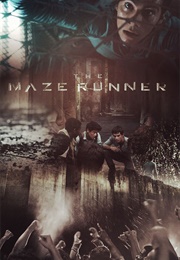 Maze Runner (2014)