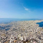 Great Pacific Rubbish Patch