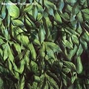 Roy Harper the Green Man