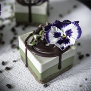 Raw Vegan Avocado Mint Cheesecake