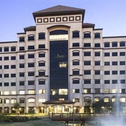 North American University