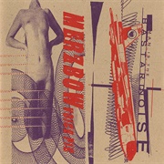 Merzbow / Bastard Noise – Voice Pie