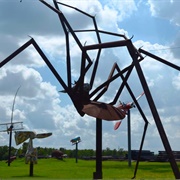 Eclectic Menagerie Park, Houston