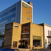 The Golden Acorn - Glenrothes