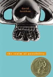 The Realm of Possibility (David Levithan)