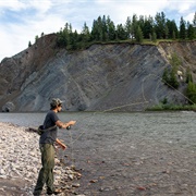 Milltown State Park, Montana