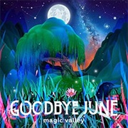 Magic Valley-Goodbye June