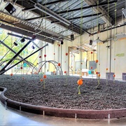 The New Children's Museum