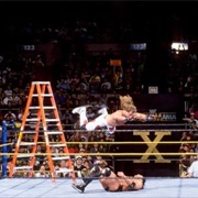 1994: Razor Ramon vs. Shawn Michaels- Wrestlemania X