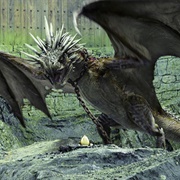 The Hungarian Horntail