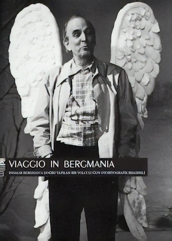 Viaggio in Bergmania (2011)