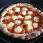 Neopapalis, Ann Arbor