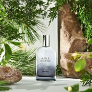 Sanctuary Amur Leopard