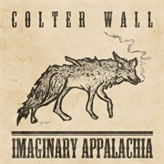 Sleeping on the Blacktop - Colter Wall