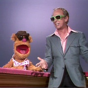 The Muppet Show: Don Knotts