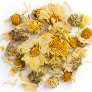 David's Tea Chrysanthemum Flowers