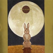 Aiko Shimada - Blue Marble