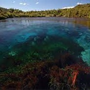 Te Waikoropupu Springs