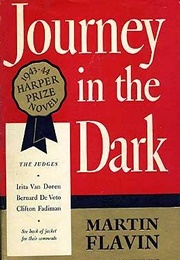 Journey in the Dark (Martin Flavin)