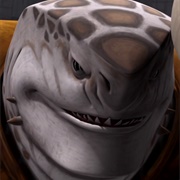 Unidentified Karkarodon