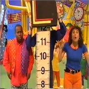 How High Does a Fly Fly?