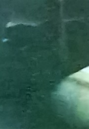 Touch (Podeswa) (2002)