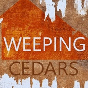 Weeping Cedars
