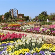 Uminonakamichi Seaside Park, Fukuoka