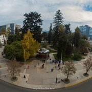 Talca