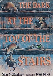 The Dark at the Top of the Stairs (Sam McBratney)