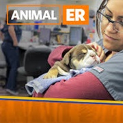 Animal ER