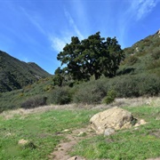 Rattlesnake Canyon Park