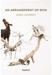 An Arrangement of Skin (Anna Journey)